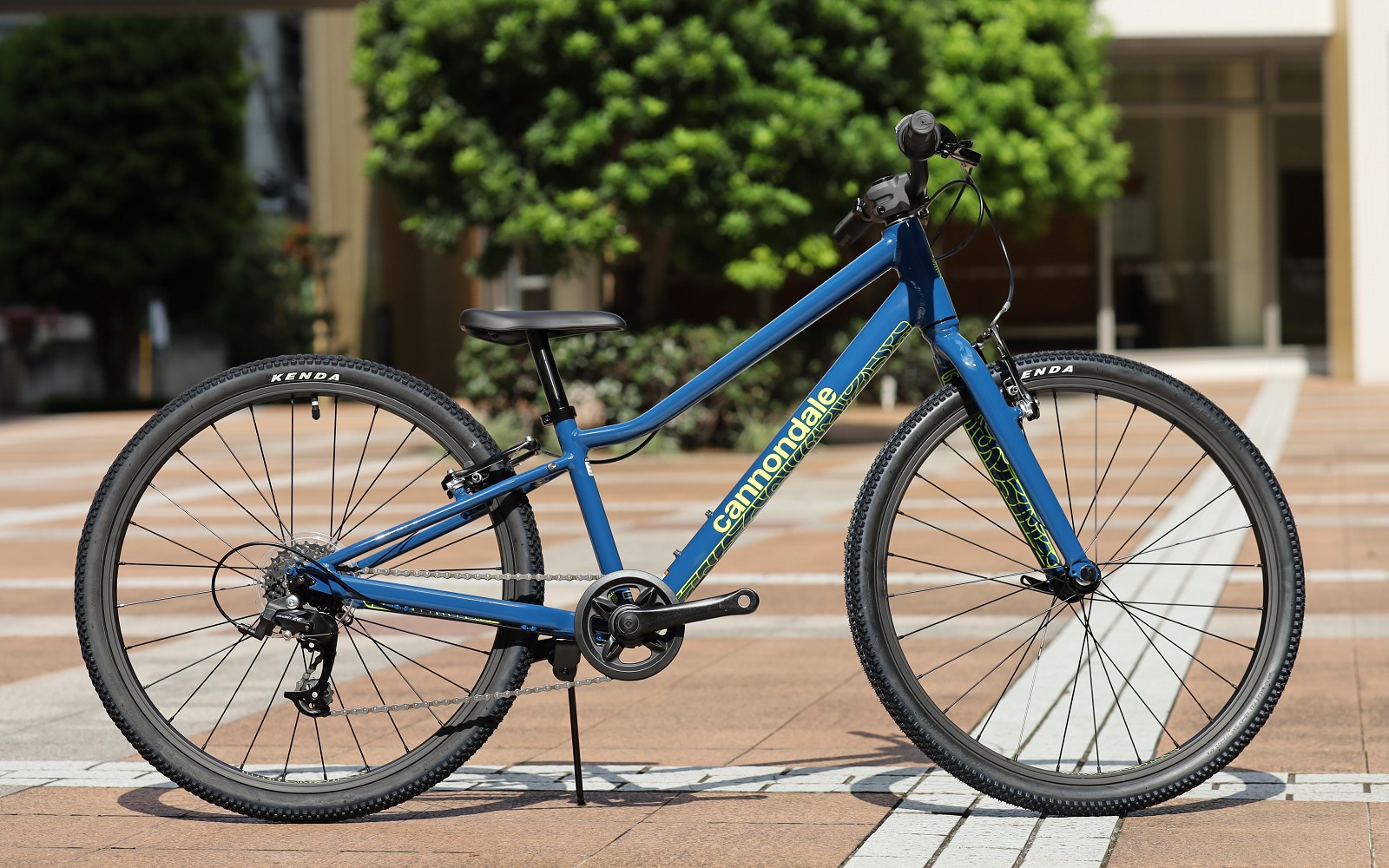 10月, 2022 | キャノンデール横浜