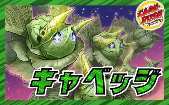 緑単キャベッジ【ver1.1】{40枚}《デッキ販売》