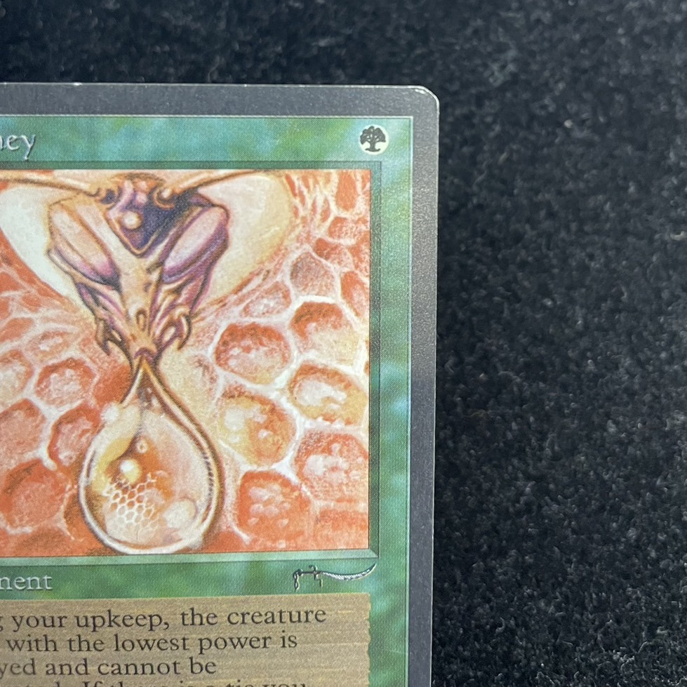 EX]Drop of Honey《英語》【ARN】#273