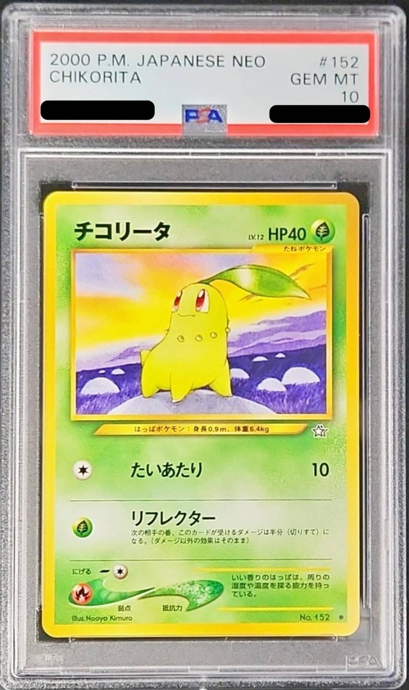 PSA10鑑定済〕チコリータLV.12【-】{旧裏}