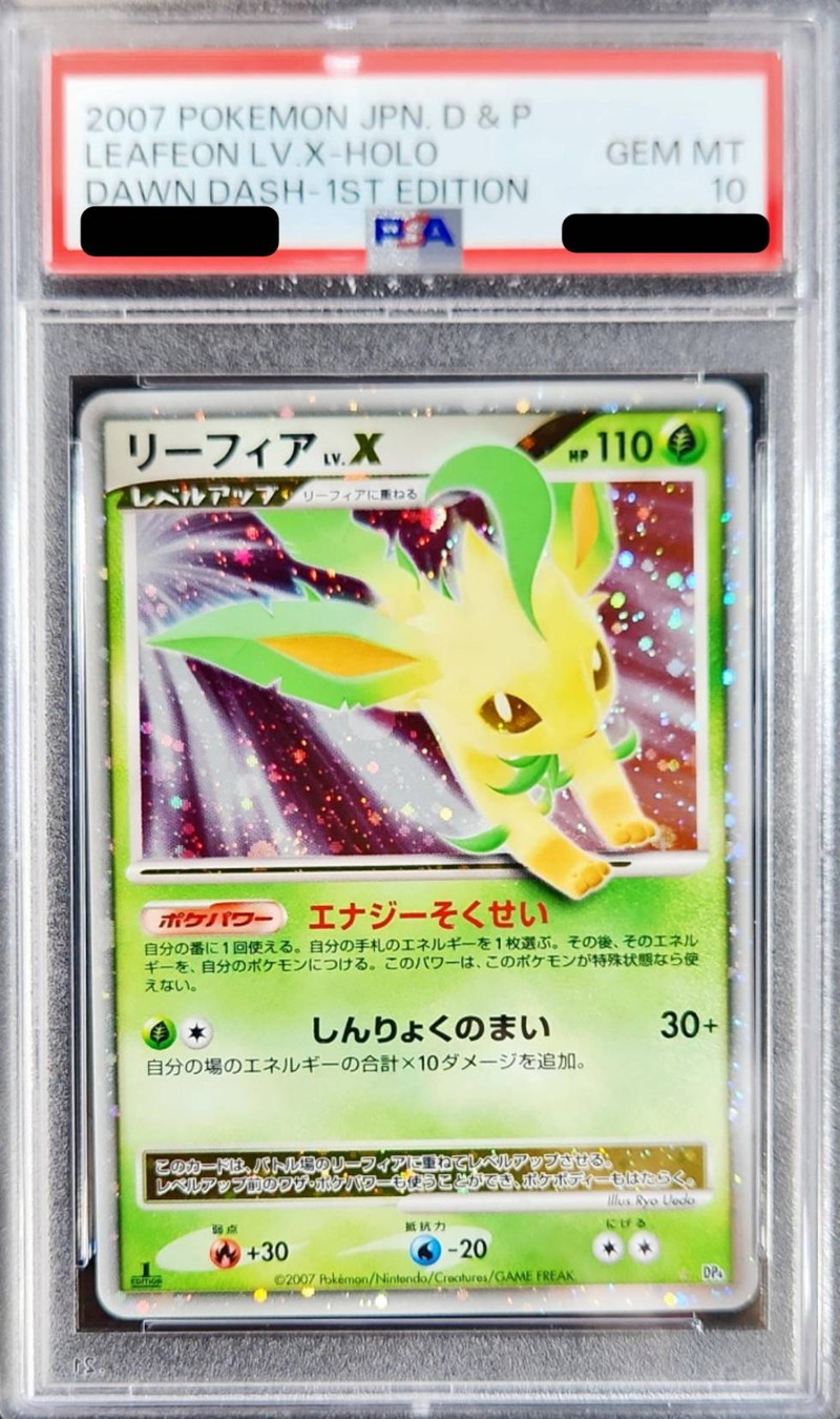 PSA10鑑定済〕リーフィアLV.X【☆】{-}