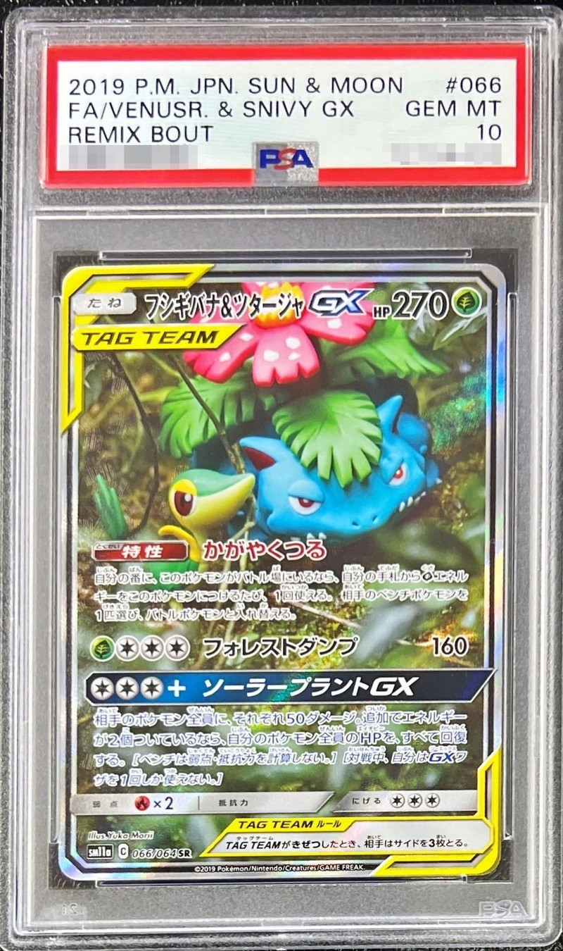 PSA10鑑定済〕フシギバナ＆ツタージャGX(SA)【SR】{066/064}