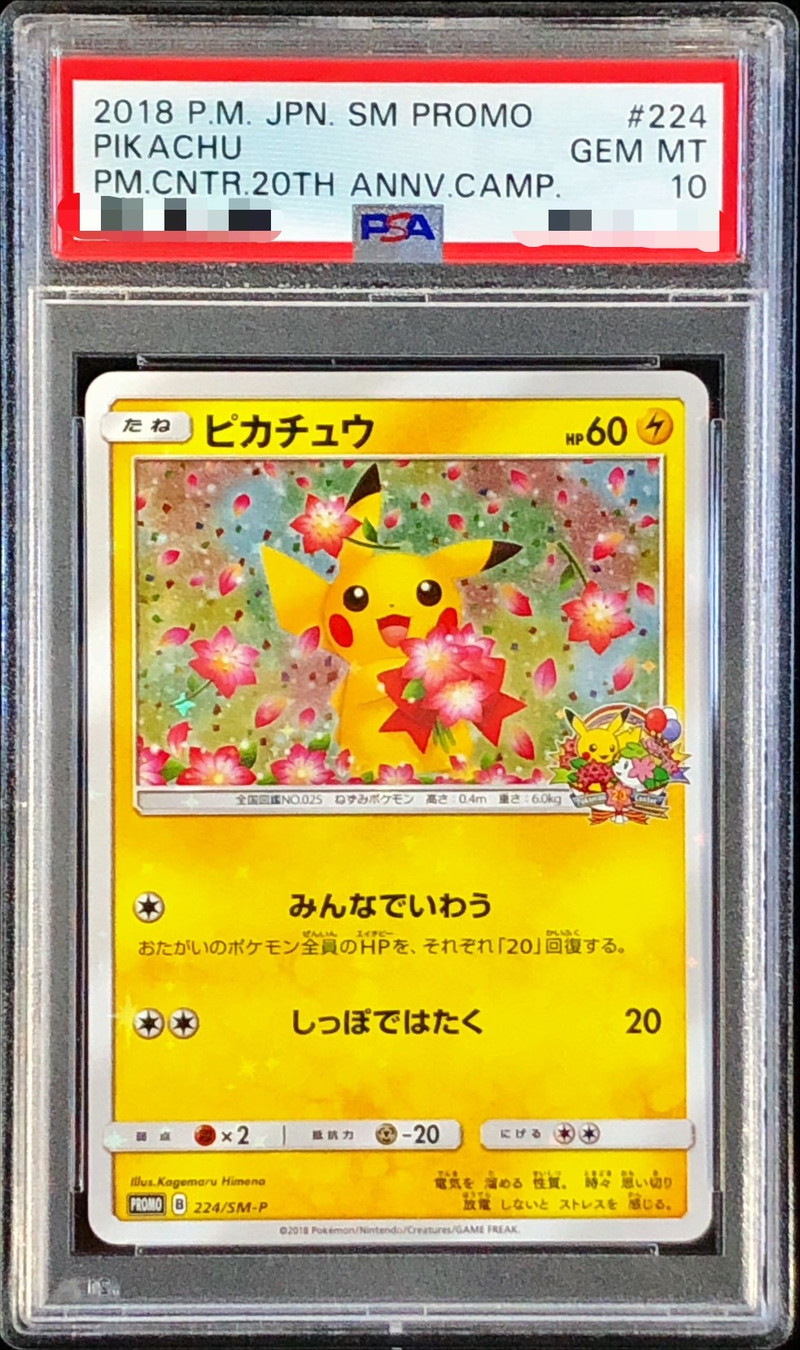 PSA10 ピカチュウ：ジムプロモカードパック 第1弾 024/S-P PSA10