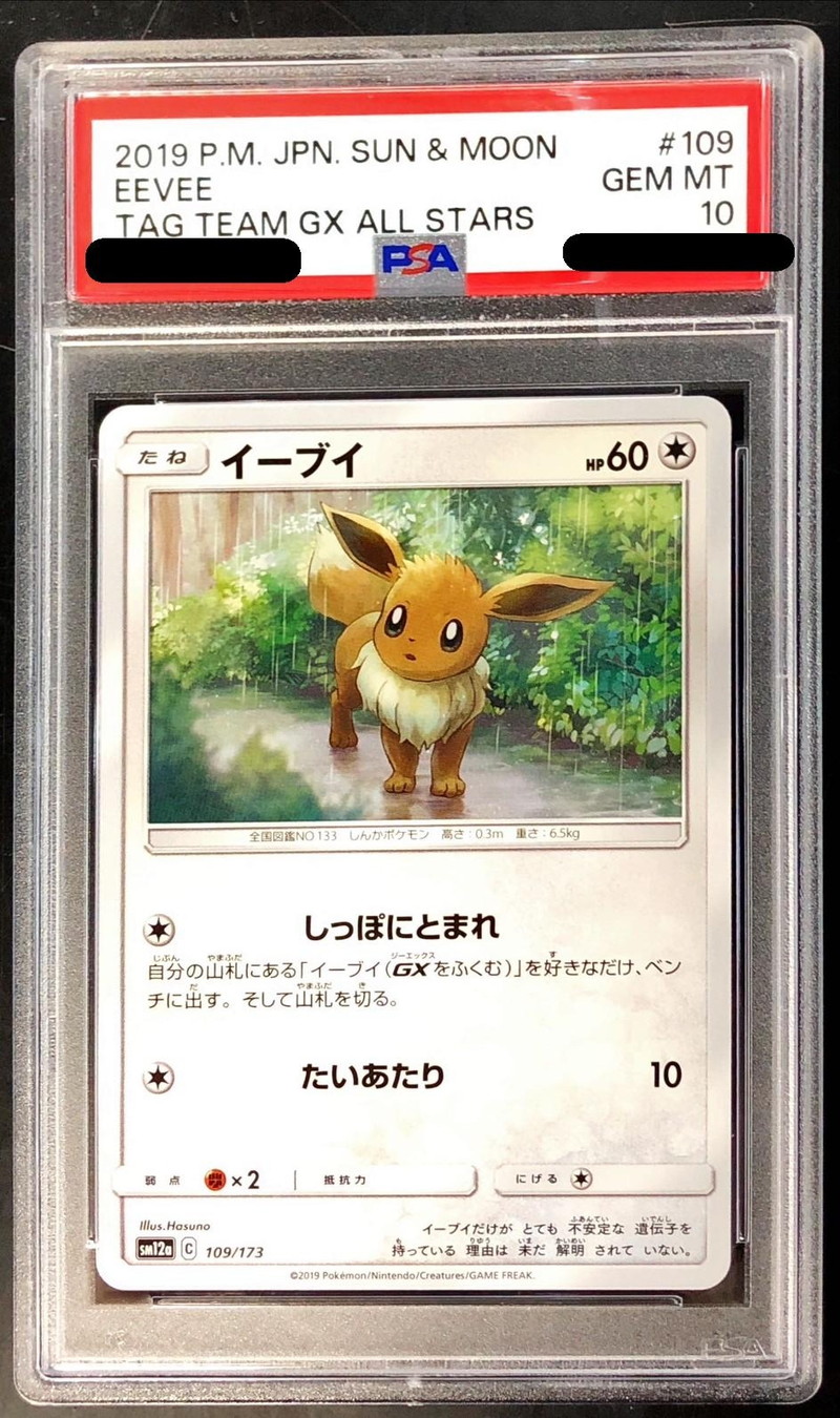 PSA10鑑定済〕イーブイ【-】{109/173}