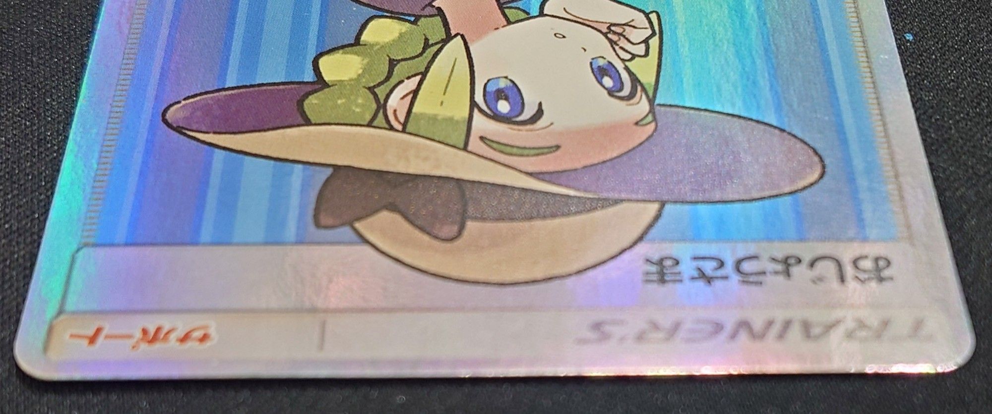 状態B〕〔エラー仕様〕おじょうさま【SR】{100/094}