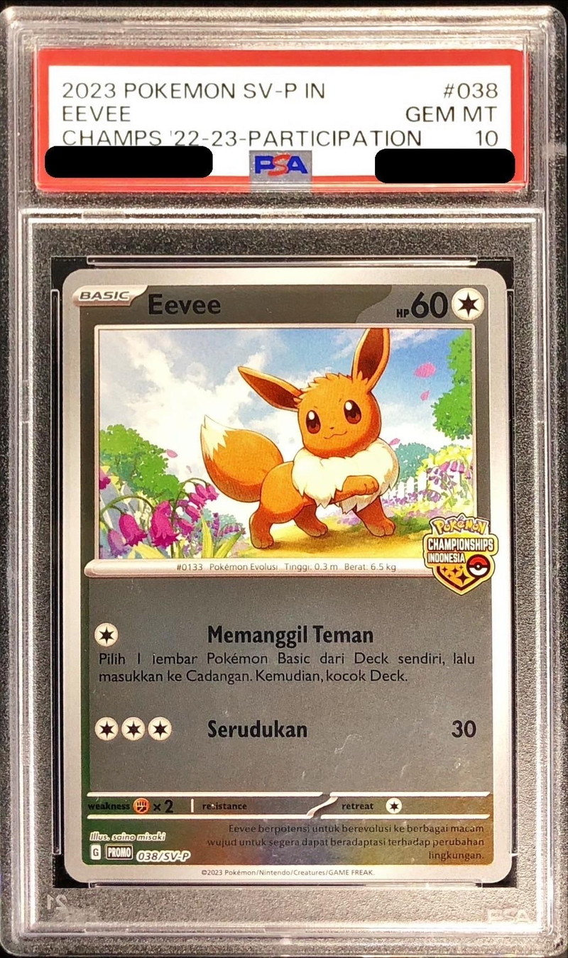 PSA10鑑定済〕イーブイ(英語版)【P】{038/SV-P}