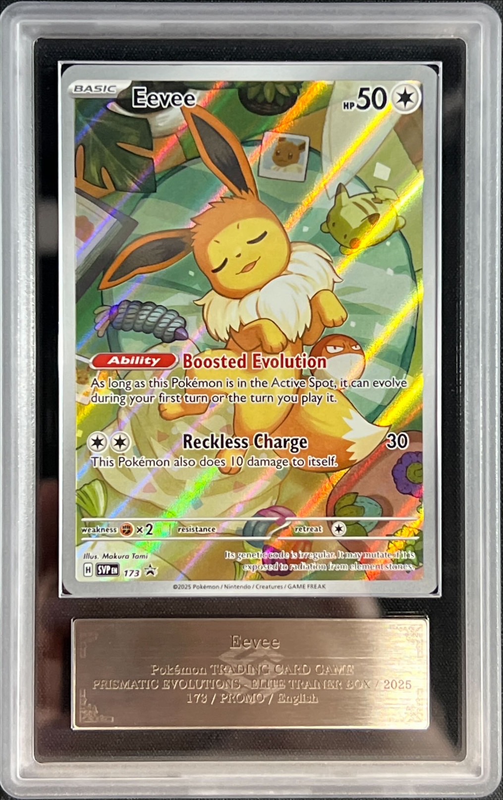 ARS10鑑定済〕イーブイ(AR仕様/英語版)【P】{173}