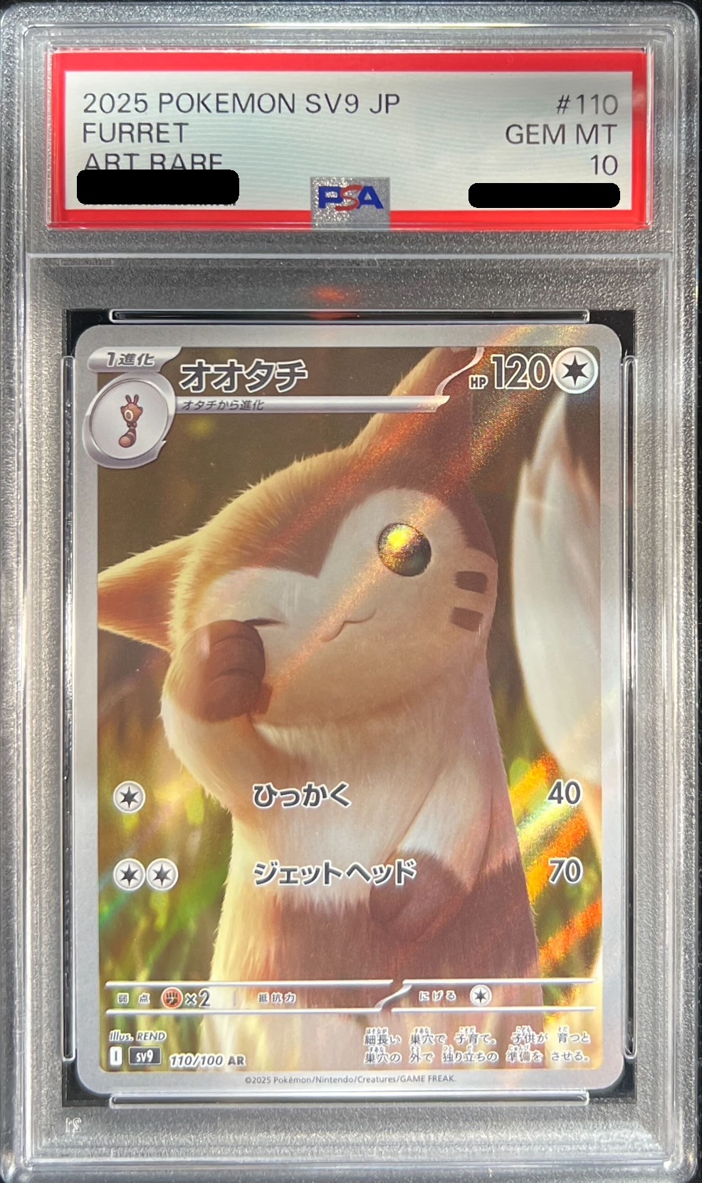 PSA10鑑定済〕オオタチ【AR】{110/100}