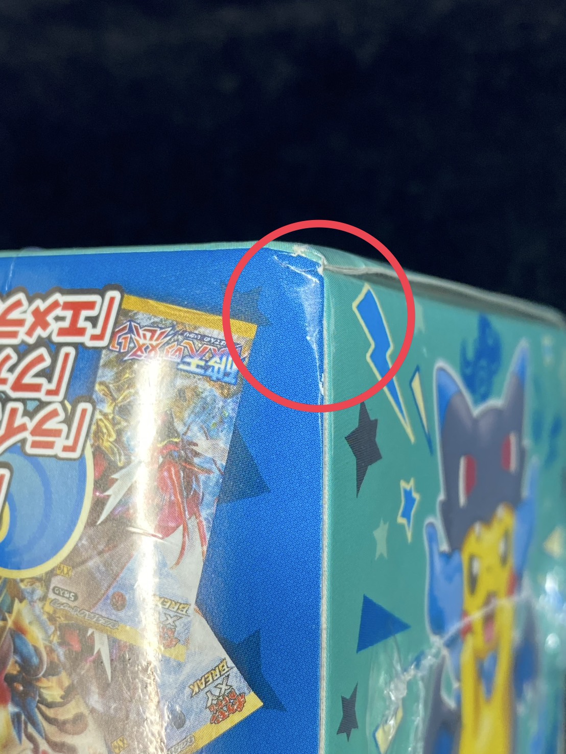 状態A-〕スペシャルBOX『メガリザードンXのポンチョを着たピカチュウ