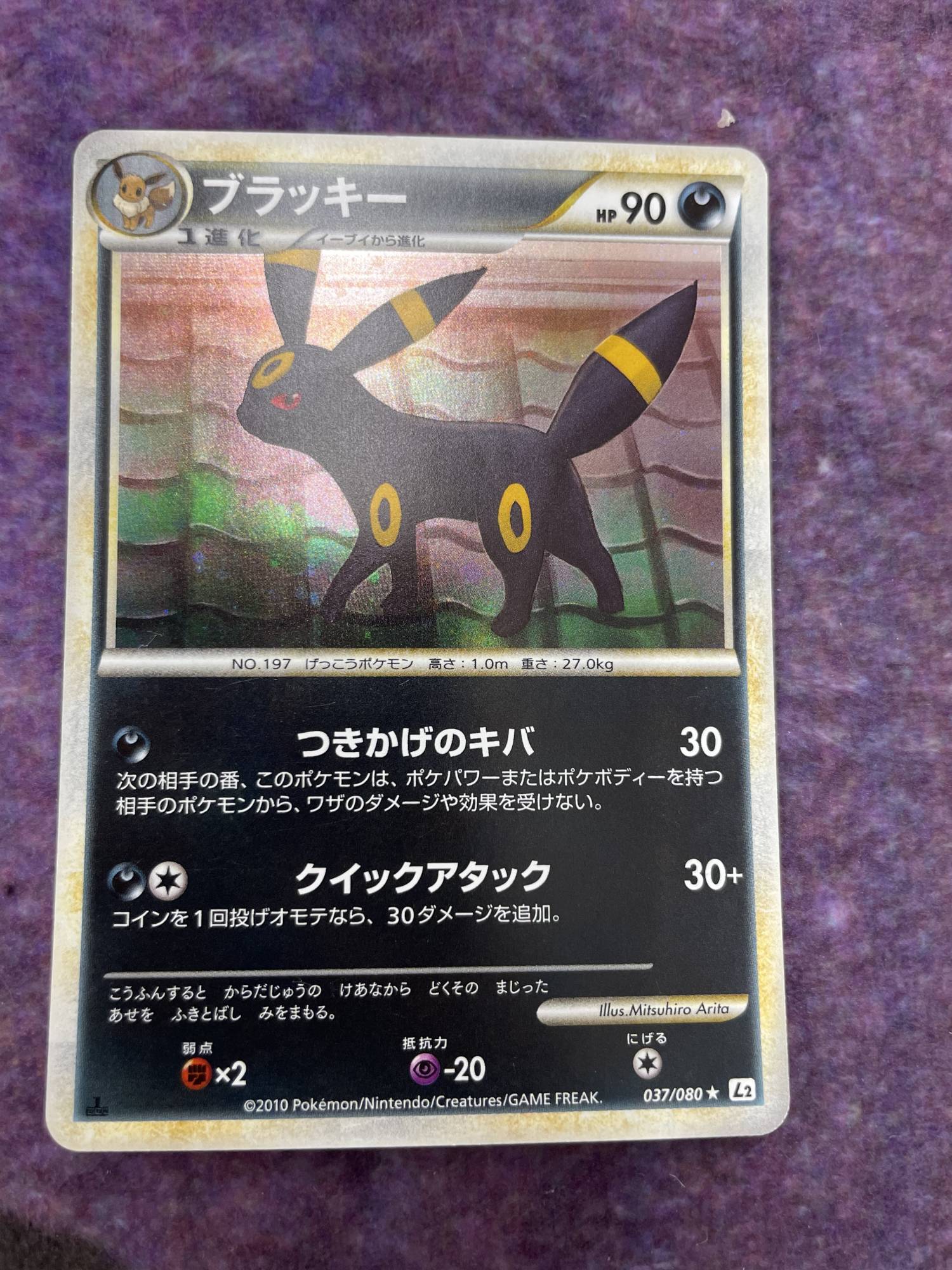 状態B〕ブラッキー【☆】{037/080} [[状態B]L2] - カードショップはん