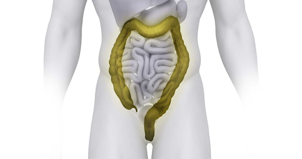 臨床区域麻酔科学書｜連載企画｜医師向け医療ニュースはケアネット