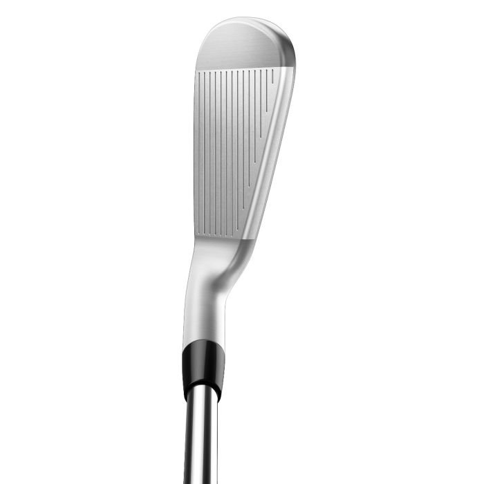TaylorMade P770 Irons- Carl's Golfland