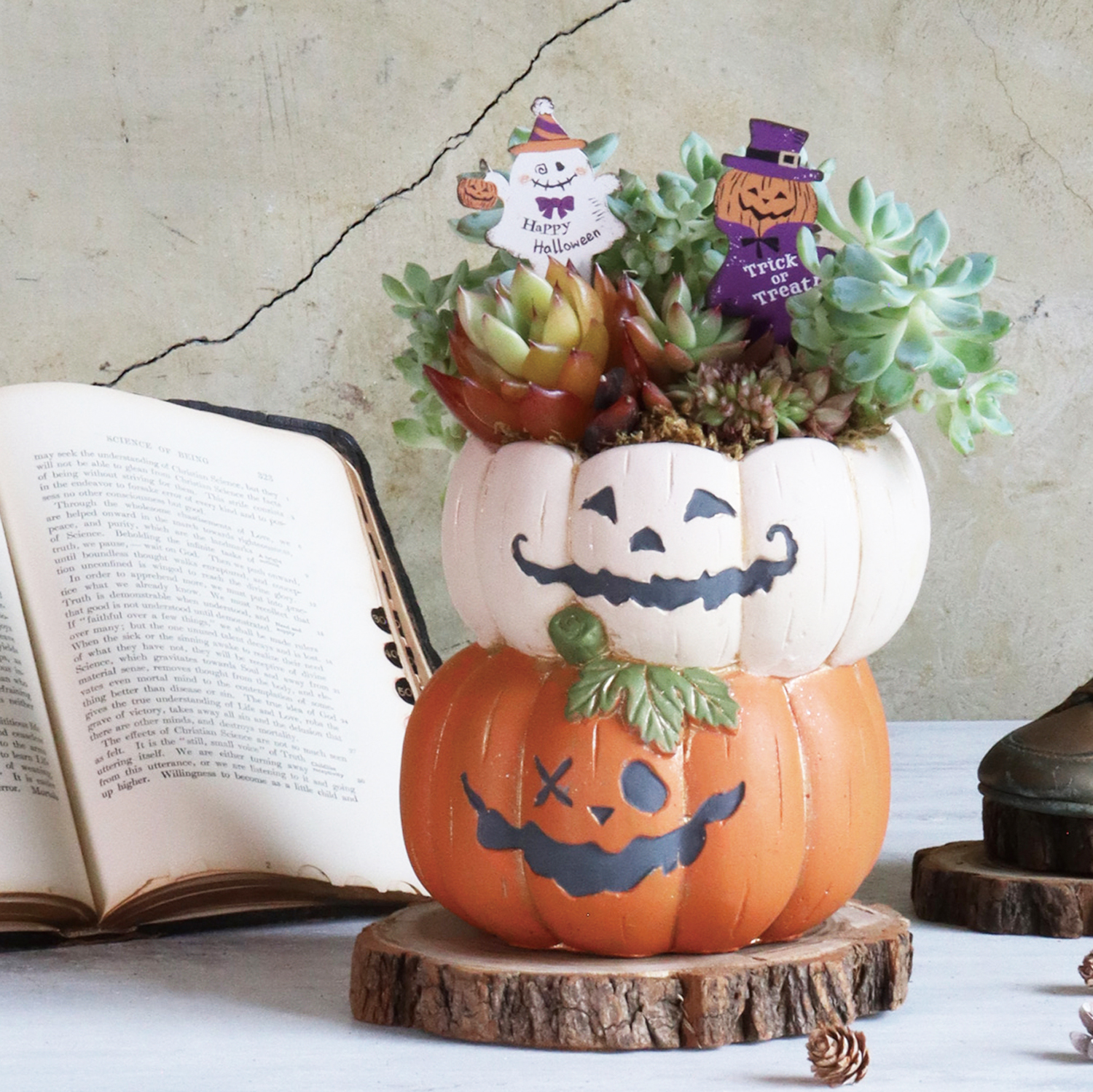 新作入荷 HPW品番ハロウィン｜株式会社カルナック