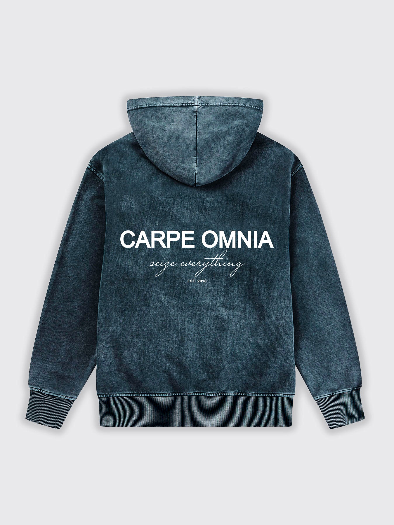 Definition 2.0 Zip Hoodie Petrol Blue Acid Wash – CARPE OMNIA