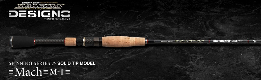 ダイワ(DAIWA) 15ルビアス(LUVIAS) 2004H ☆特別割引品 (お取り寄せ