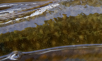 Casket カスケット｜トラウト、バス、ソルトルアー専門店｜通販可能｜