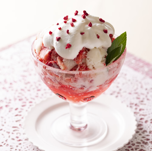 カートリッジ式マルチスライサー|Hatsuyuki初雪氷削機|(株)中部