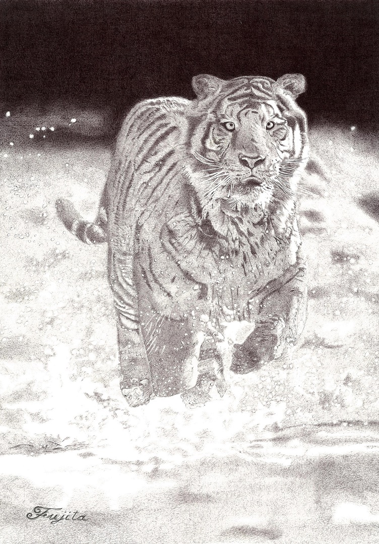 ボールペン画／①③水夜｜講座紹介｜中日文化センター栄｜中日文化