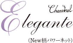 ボディスーツ（ロング） | 補整下着メーカー 株式会社シャンデール