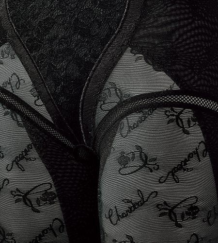 ロングガードル（フルロング） | 補整下着メーカー 株式会社シャンデール