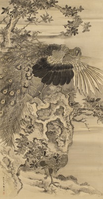 谷文晁「孔雀」｜秋田市立千秋美術館 収蔵品データベース