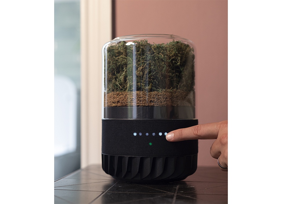 briiv 空気清浄機 英国発 自然派エコ BV0001 Amazon.co.jp: BRIIV