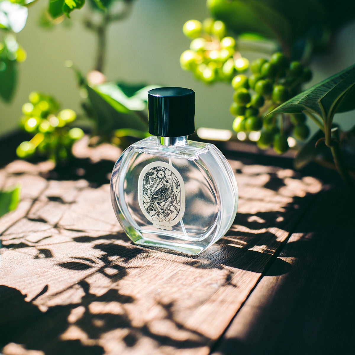 ciel】canari オードトワレ