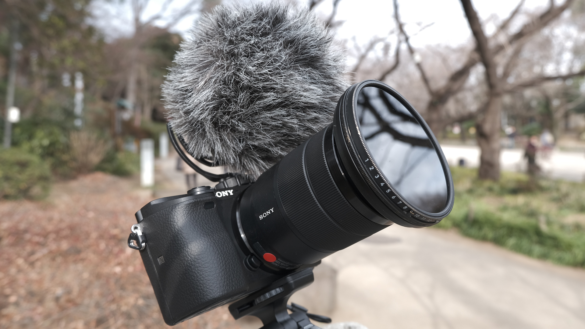 ソニーα6400レビュー | CineD