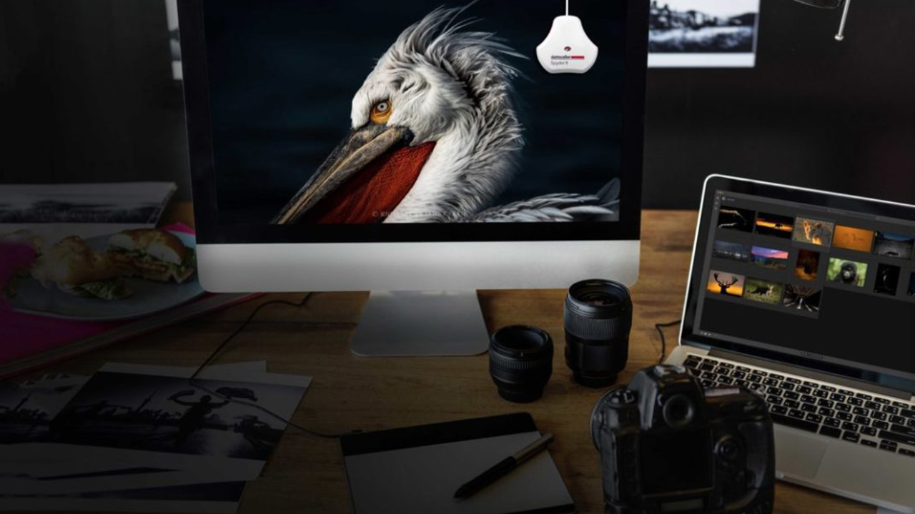 DatacolorがSpyderXモニターキャリブレーターを発表 | CineD