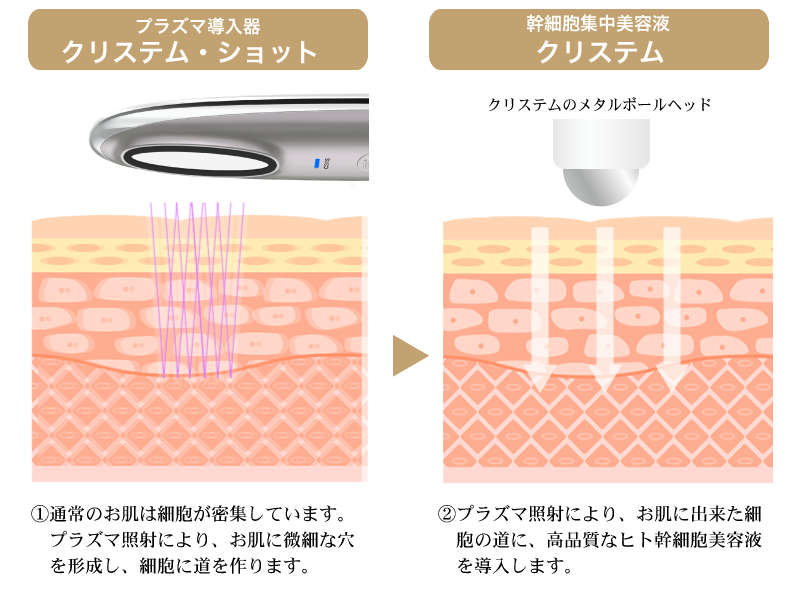 CRYSTEM SHOT | CRYSTEM