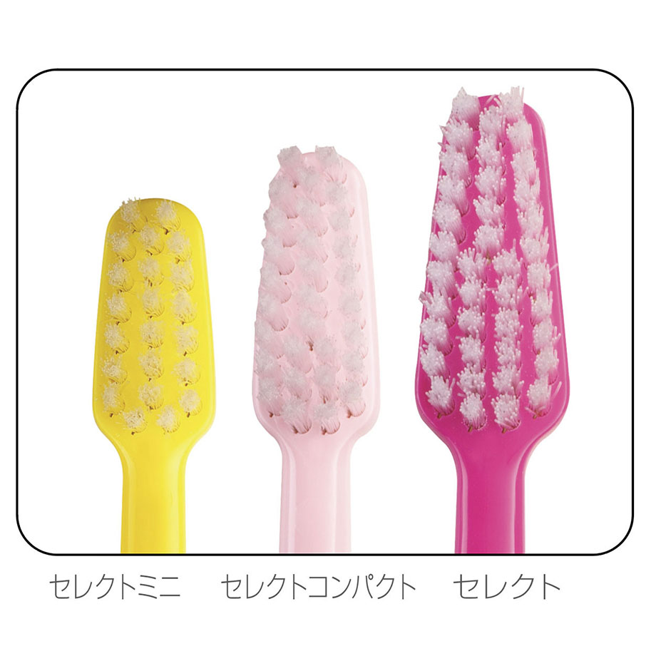 パーフェクト・ペテンシー2枚 シク5000vt1枚 パーフェクト・ペテンシー