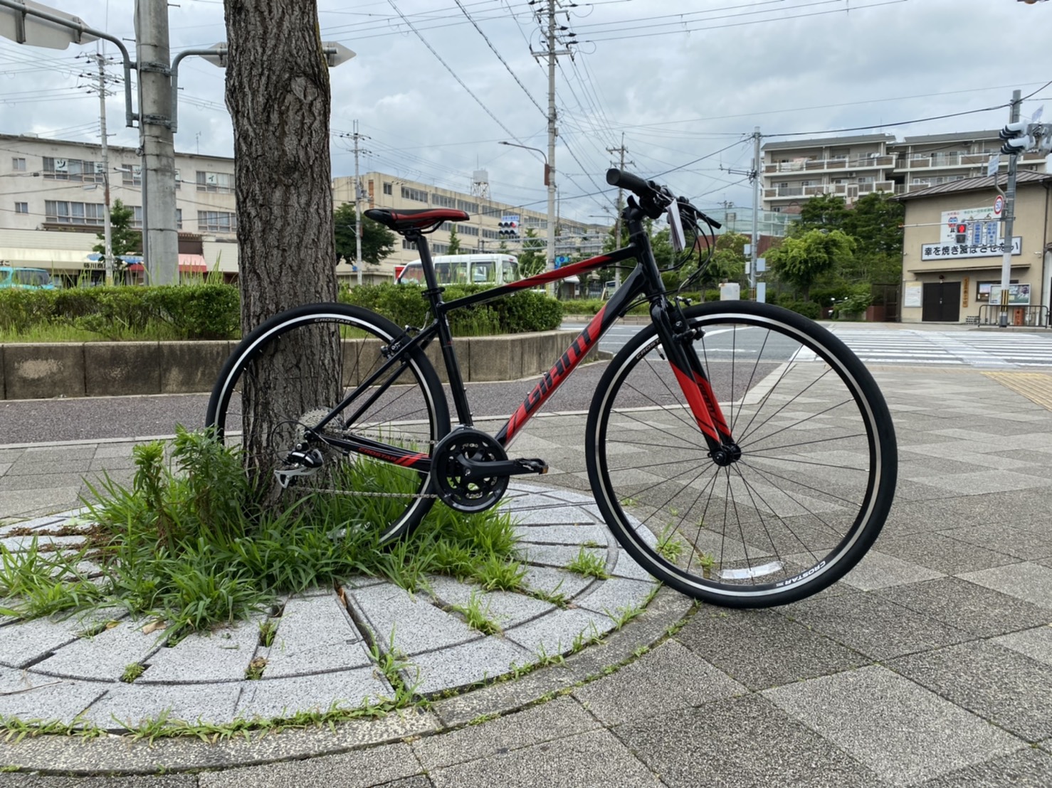 軽さが魅力】新車軽量クロスバイクのご紹介です。 - 京都の中古自転車