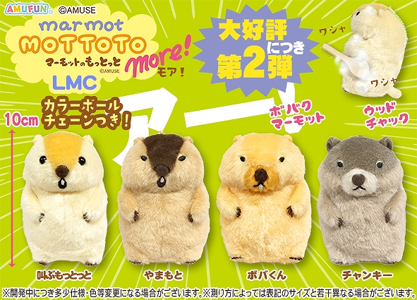 ≪7月の新商品≫マーモットのもっとっとモア-NEW ITEM！｜アミューズ