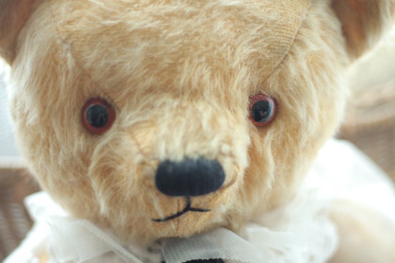 イギリス名門チャド・バレー社アンティークテディベア /Antique
