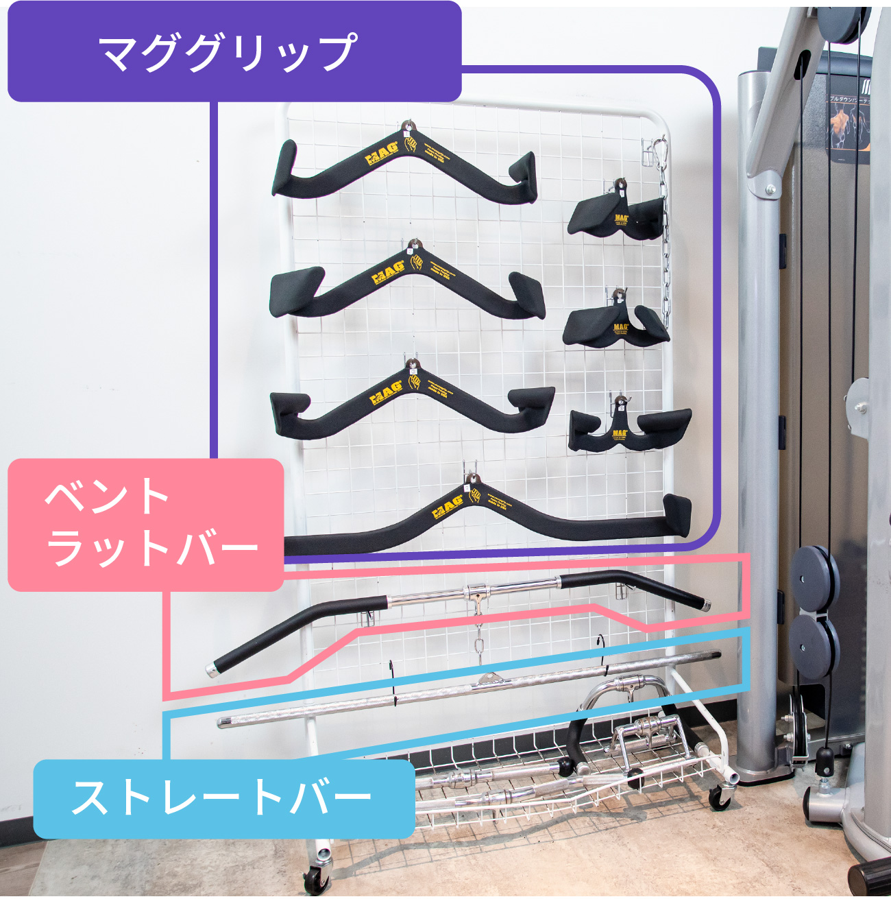 あなたの背中をアップデートマググリップで背中を鍛える | 背中に効く