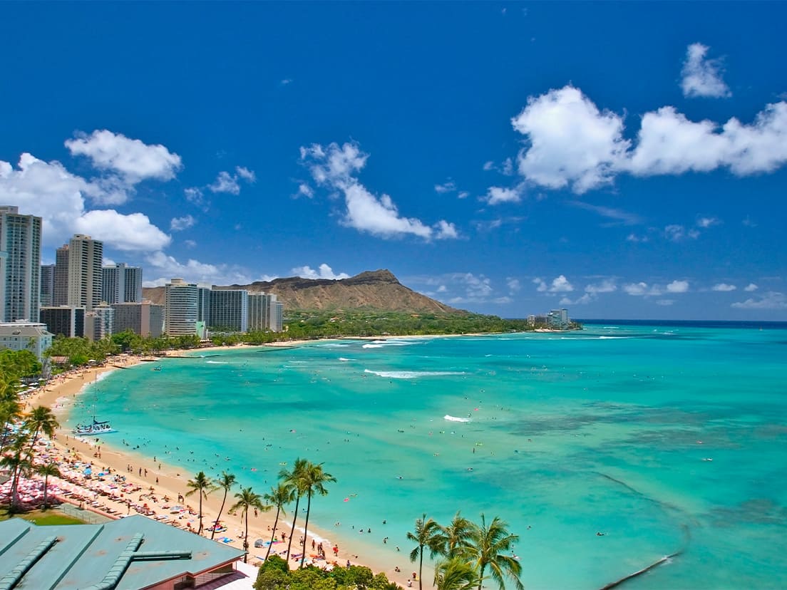 ハワイへの特別な翼「FLYING HONU」開発ストーリー|ANA