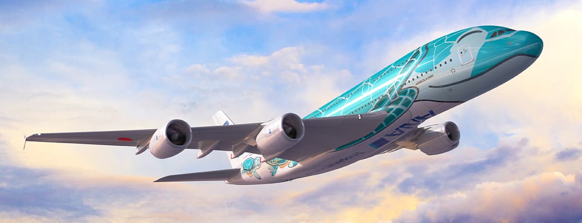 ハワイへの特別な翼「FLYING HONU」開発ストーリー|ANA