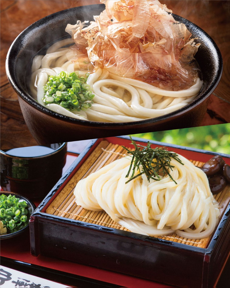 山田家 純生讃岐うどんと2種類の本造りだしセット | 高松空港 | 空港