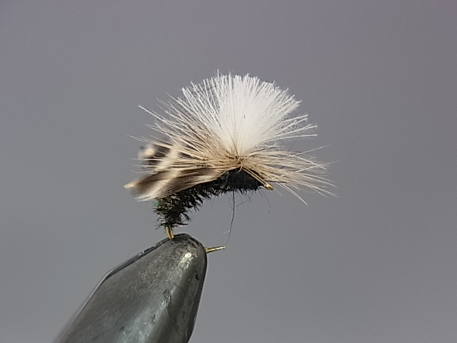 Anglers Paradise【フライフィッシングショップ アングラーズ