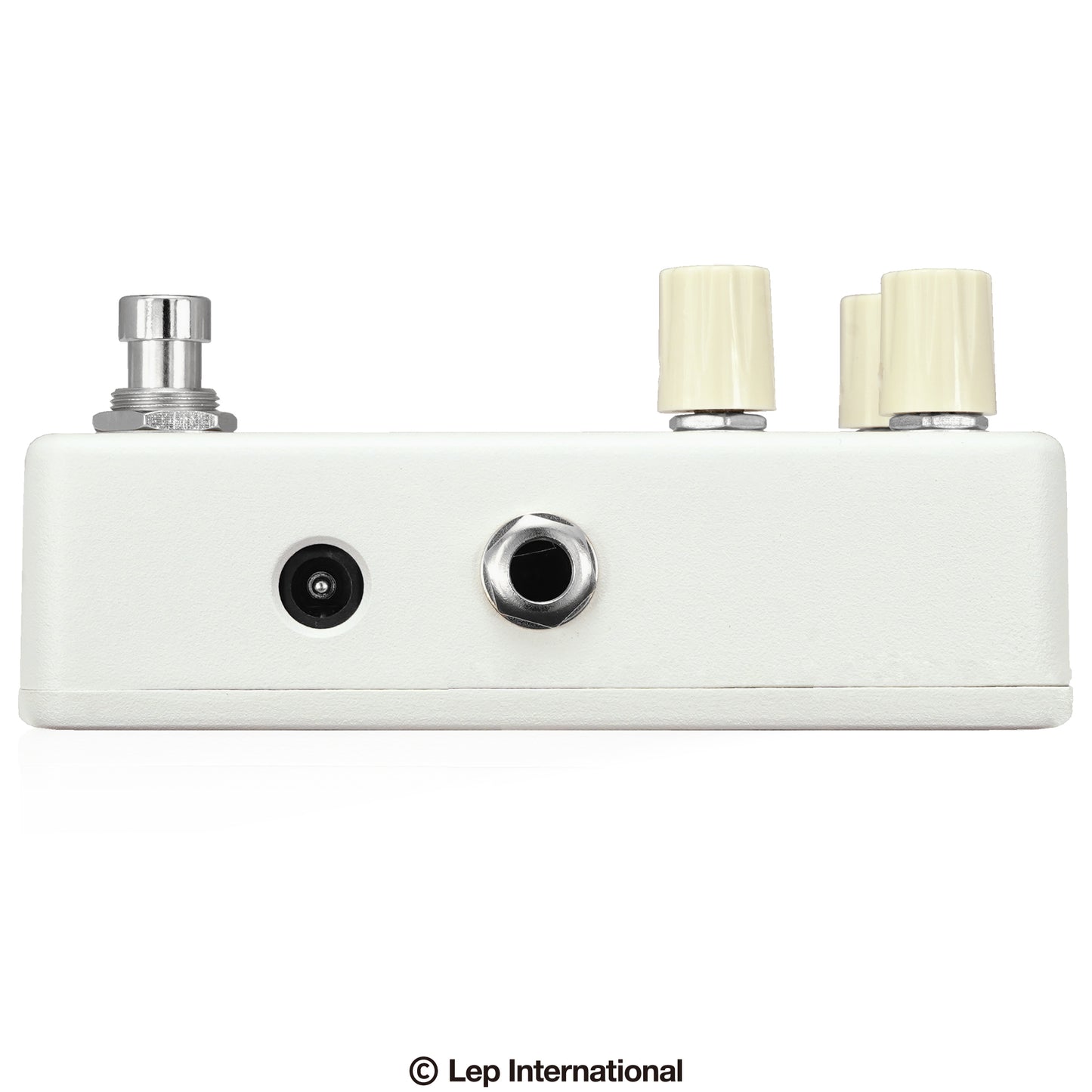 Animals Pedal Surfing Bear Overdrive