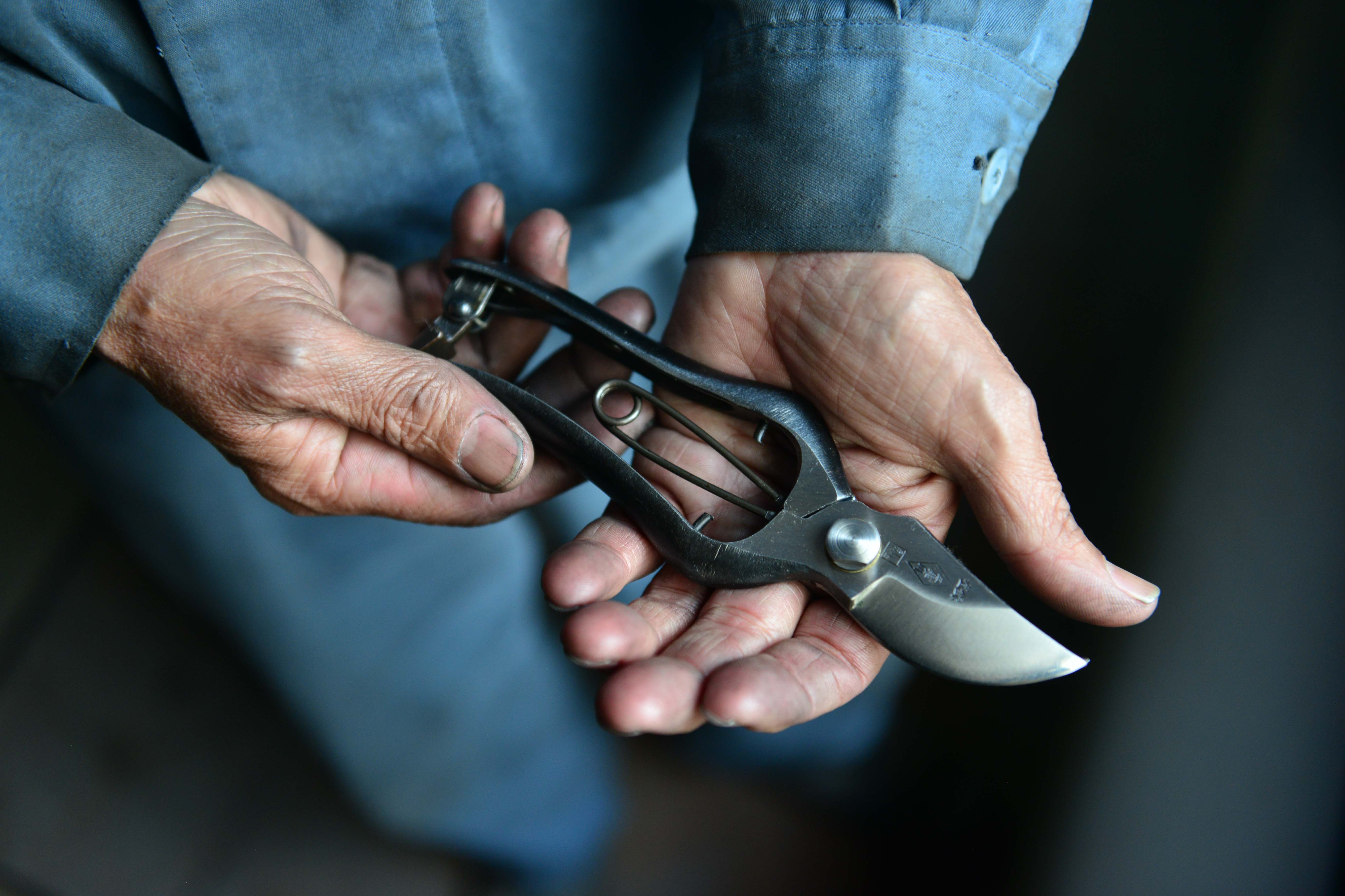 GARDEN SCISSOR/剪定鋏軽量型180 | 青山フラワーマーケット｜花束