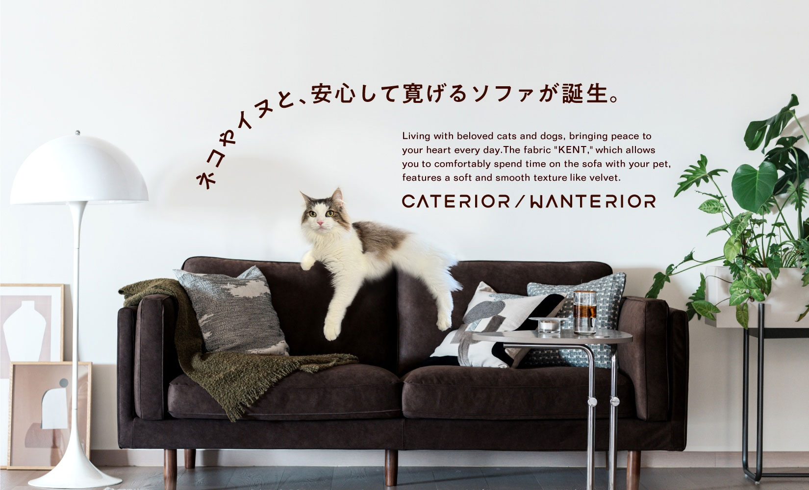ネコやイヌと、 快適にくつろげるソファが誕生「KENT」生地