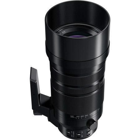 Panasonic LUMIX G Leica DG Vario-Elmar 100-400mm f/4-6.3