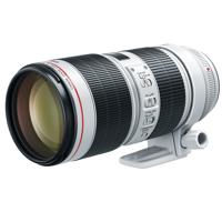 Canon EF 70-200mm f/2.8L IS III USM Lens 3044C002 - Adorama