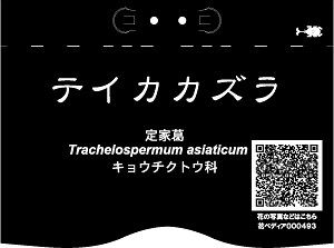 Aboc - アボック社 - デザインガーデン向け