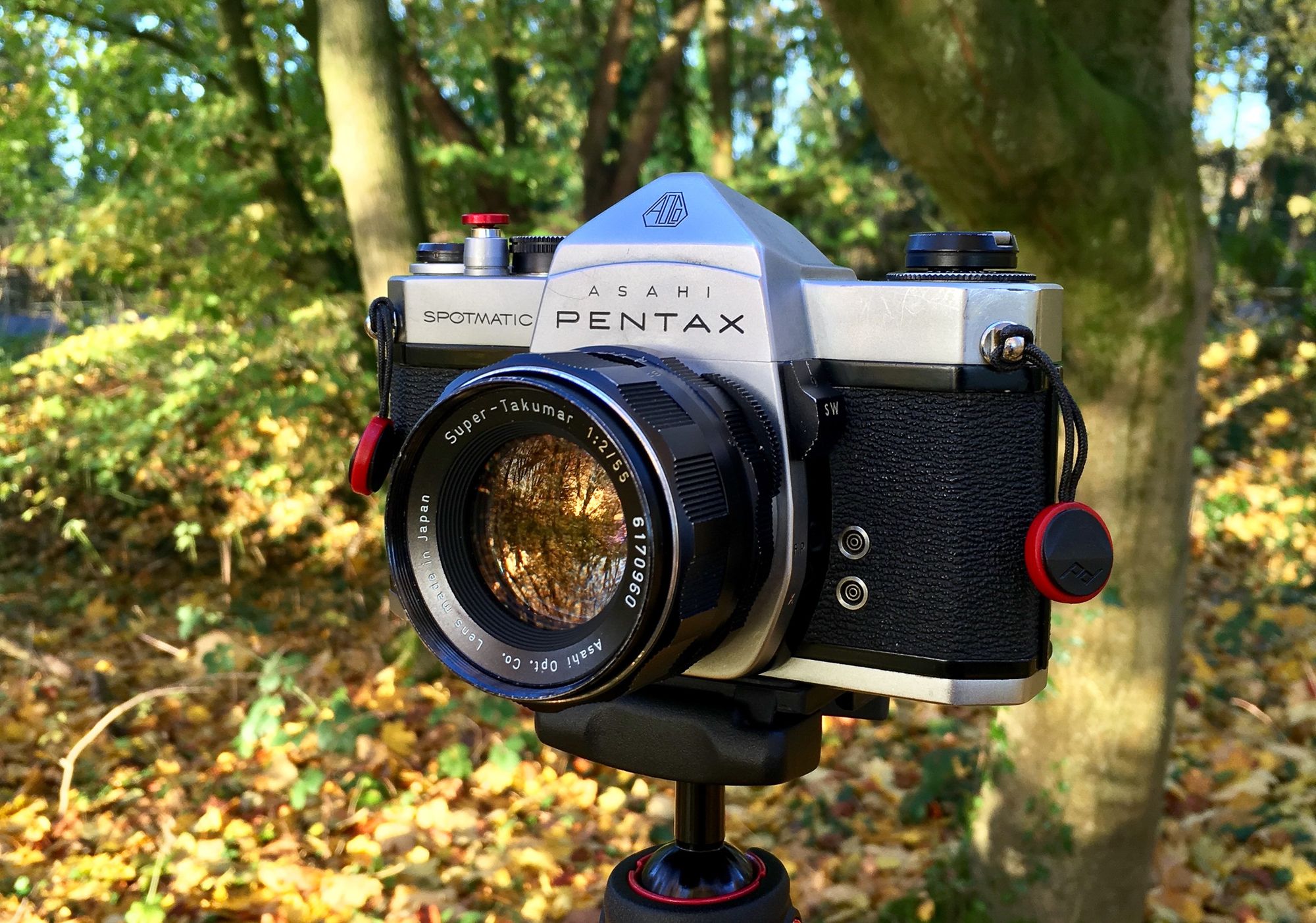 Autumnal dreamscapes with the Pentax Super-Takumar 55mm f/2 | Alex