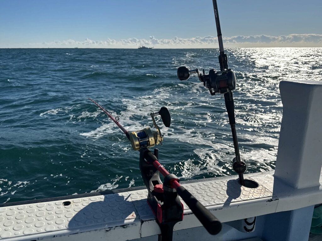 alphatackle BLOG | alphatackle