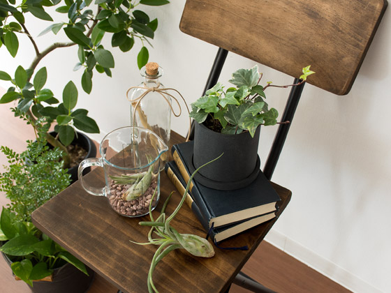 ヴィンテージウッド 折りたたみチェア Zigt (ジグト) | 家具