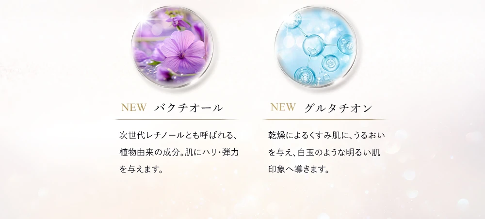 シルキースティックファンデーション | アスター・ワン【公式