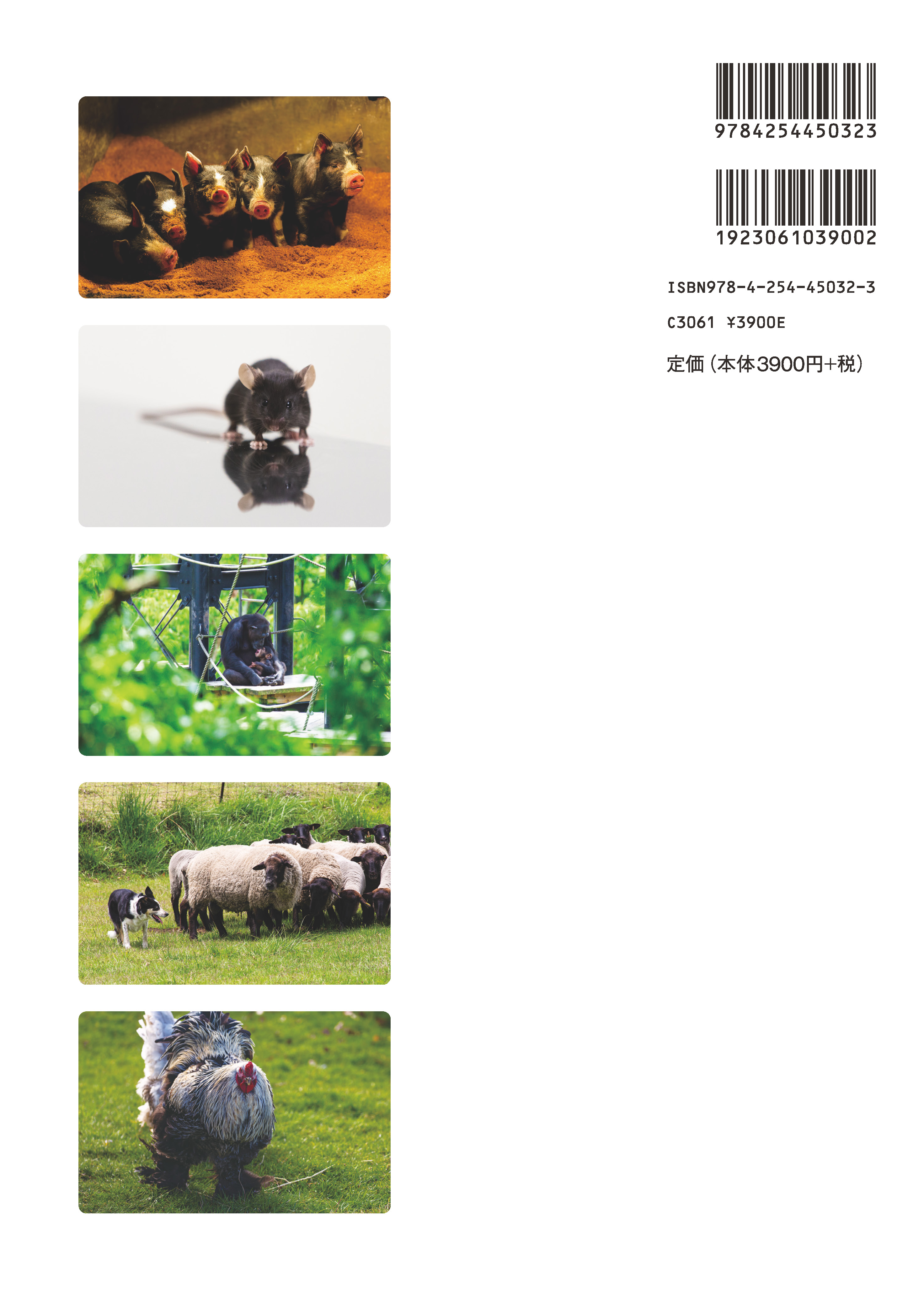 改訂版 動物行動図説 ｜朝倉書店